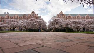 University of Washington in Seattle, WA photo